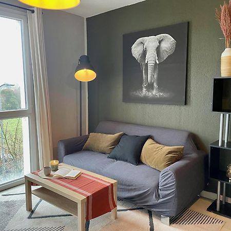 Le Colorado - Appartement Proche Airbus Коломие Екстериор снимка